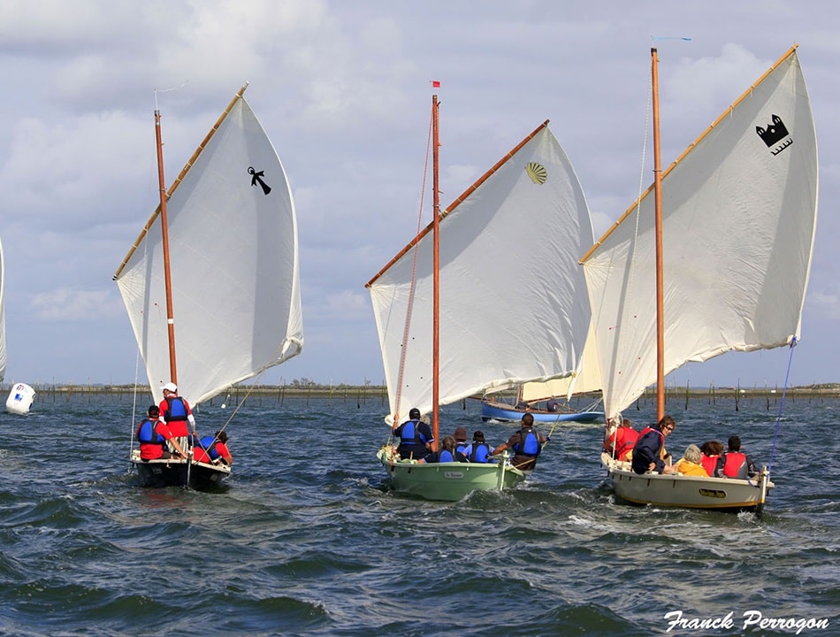 voiletradi-photo1-min