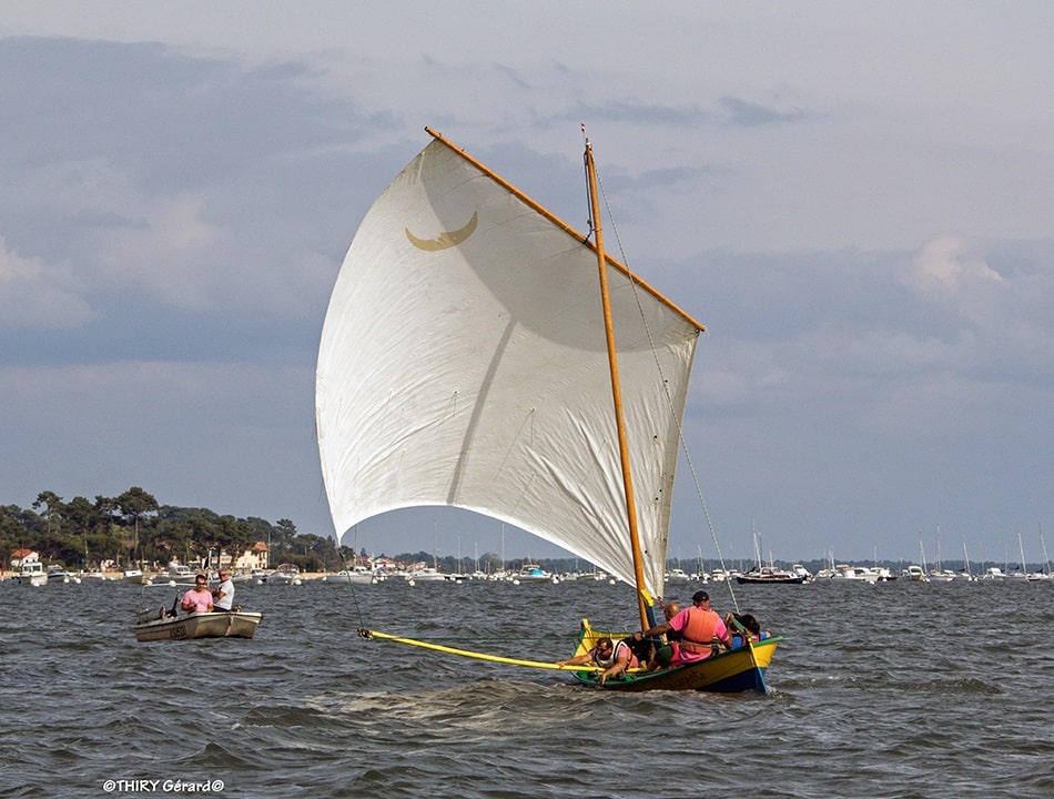 voiletradi-photo2-min